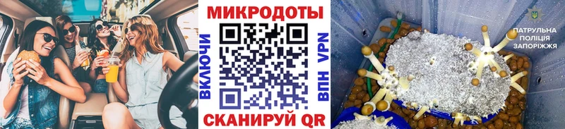наркотики  Таштагол  Галлюциногенные грибы GOLDEN TEACHER 