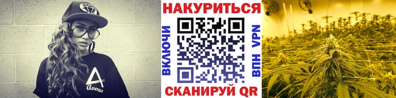 Канабис планчик  Таштагол 